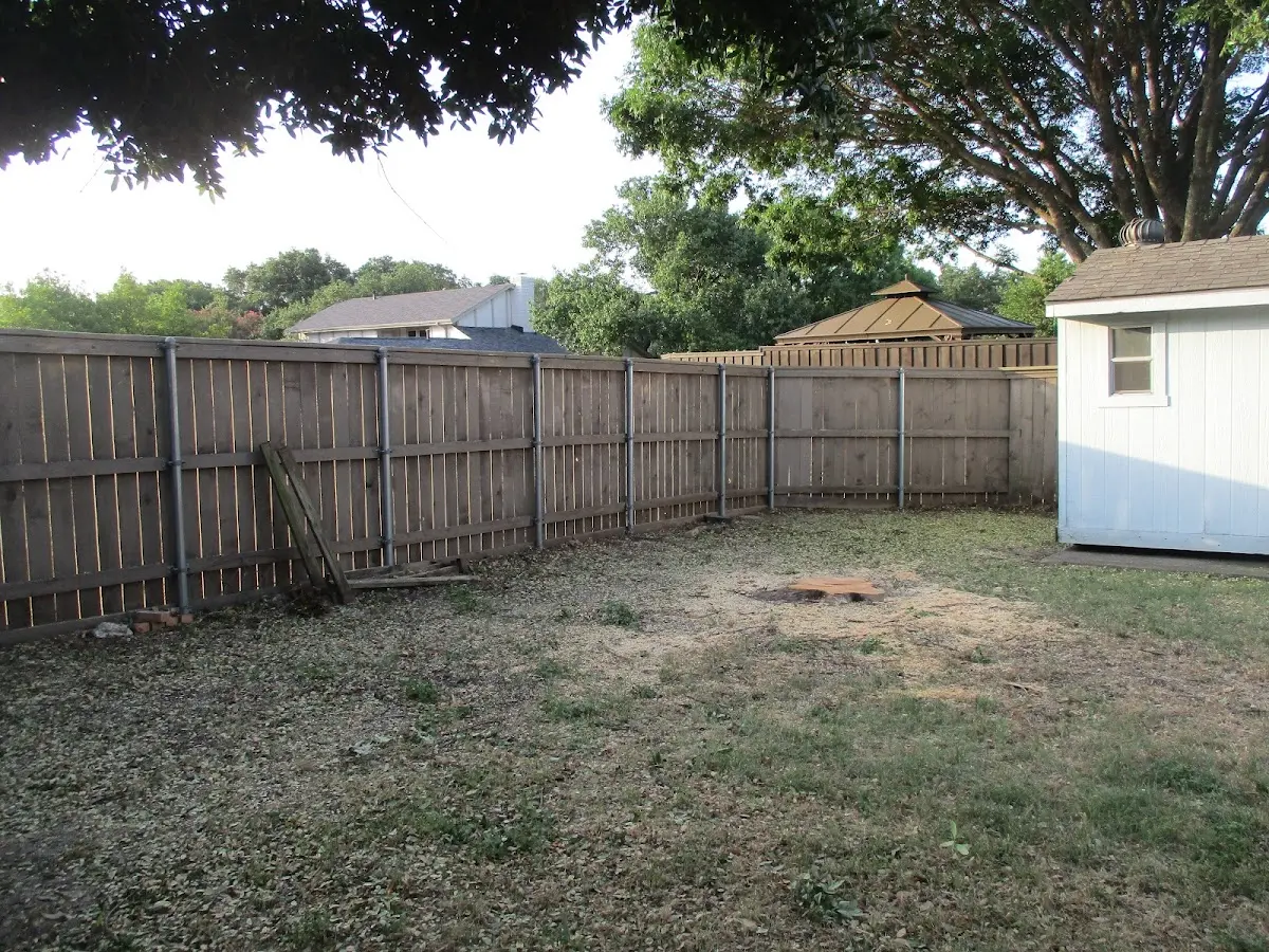 Cleared yard after professional tree removal in Lahmansville